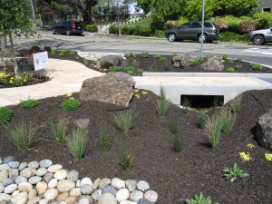 Flow-through rain garden design is low maintenance