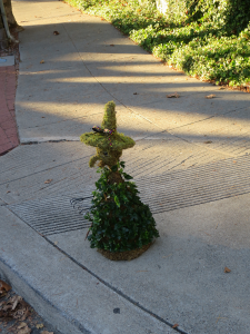 Small Witch considers crossing Scenic Avenue.