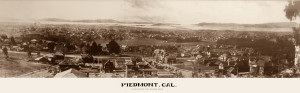 PCA Piedmont Photo 316